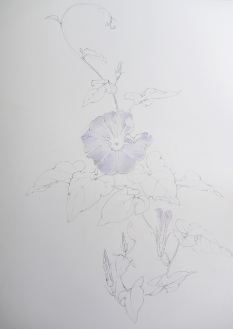 P1120942nm